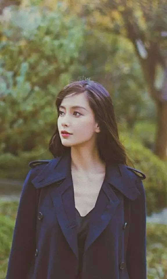 黑色大丽花